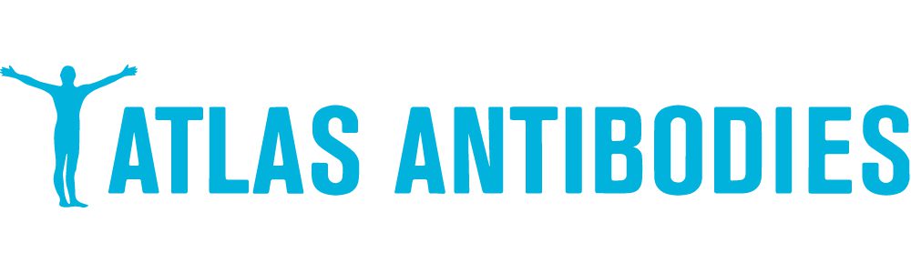 Atlas Antibodies