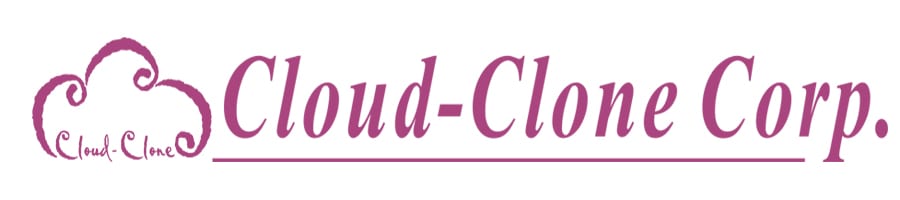 Cloud-Clone