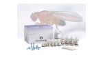 qPCR & Sequencing Chromatrap ChIP kit from Drosophila insects Pro-A ChIP kit for sonication shearing only