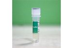Recombinant Pig Heat shock protein HSP 90-alpha (HSP90AA1), partial