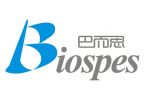ACE Human ELISA Kit