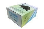 DIABLO ELISA kit (Rat)