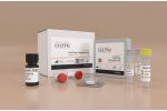 Exazym® ClickChem Conjugation Kit