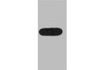 Western blot analysis of GST recombinant protein, diluted at 1:10000.