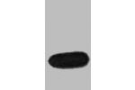 Western blot analysis of mStrawberry recombinant protein, diluted at 1:5000.
