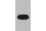 Western blot analysis of recombinant mOrange protein, diluted at 1:10000.