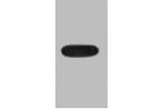 Western blot analysis of recombinant EBFP protein, diluted at 1:5000.
