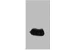Western blot analysis of EYFP recombinant protein, diluted at 1:5000.
