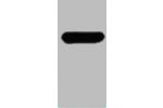 Western blot analysis of Recombinant AD protein using GAL4 Activation Domain Polyclonal Antibody.