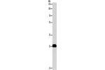 Gel: 10%SDS-PAGE, Lysate: 40 