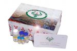 Human AMY1A / Alpha-amylase 1 ELISA Kit
