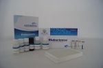 12-HETE(12-Hydroxyeicosatetraenoic Acid) ELISA Kit