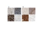 Immunohistochemistry analysis in human tonsil and skeletal muscle tissues using Anti-SYVN1 antibody. Corresponding SYVN1 RNA-seq data are presented for the same tissues.
