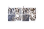 Immunohistochemical staining of human colon, kidney, lymph node and testis using Anti-FHIT antibody HPA018840 (A) shows similar protein distribution across tissues to independent antibody HPA018909 (B).