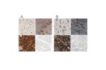 Immunohistochemistry analysis in human tonsil and skeletal muscle tissues using Anti-SYVN1 antibody. Corresponding SYVN1 RNA-seq data are presented for the same tissues.