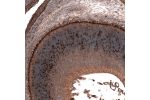 Immunohistochemical staining of mouse embryo E14 shows moderate to strong nuclear positivity in a subset of cells in the developing eye retina.
