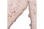 Immunohistochemical staining of human Cerebellum shows weak cytoplasmic positivity in neuronal cells.