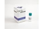 Chikungunya Virus​ ImmuneSelect Peptide Pool Premium​
