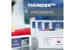 Phospho-4EBP1 (T37/T46) TR-FRET Cellular Assay Kit