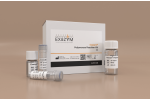Exazym® Polymerase Reaction Kit