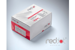 Canine Caveolin 1 (CAV1) ELISA Kit