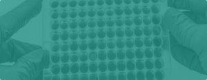 Indirect ELISA Protocol